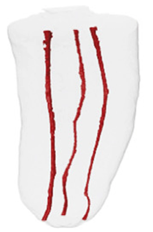 Micro-CT reconstruction of an independent canal system, specimen 1.